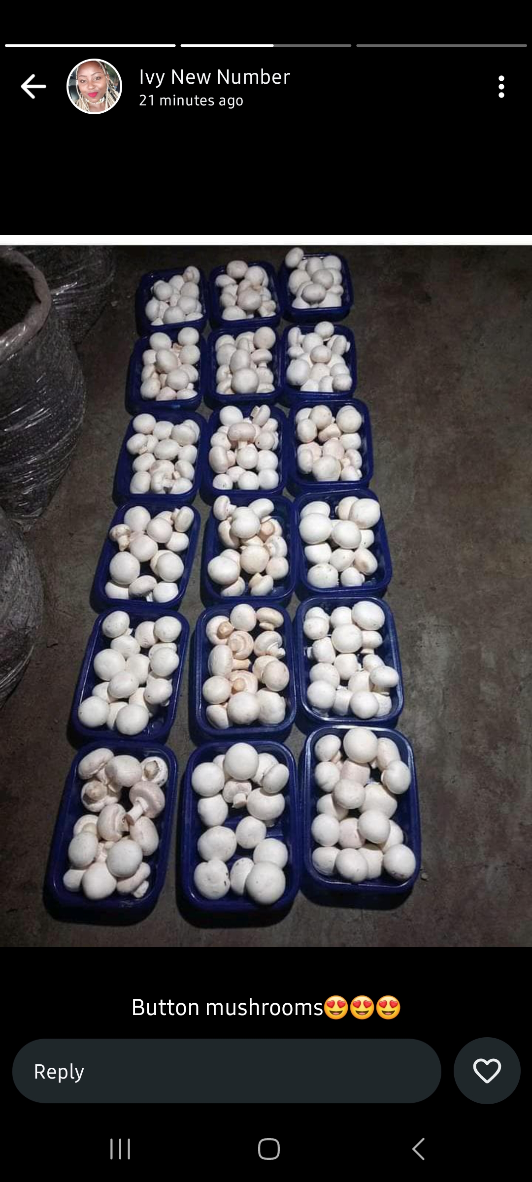 Ahabwe canary 0705395909